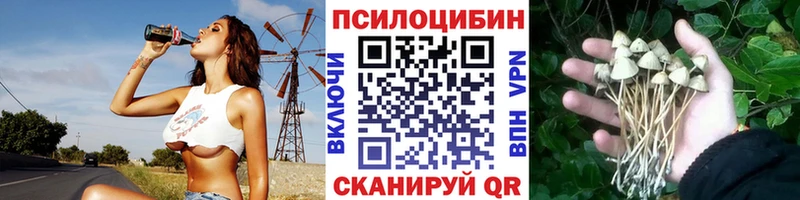 где продают наркотики  Уяр  Псилоцибиновые грибы Magic Shrooms 